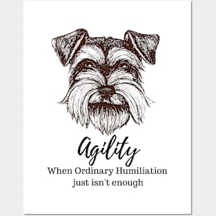 Schnauzer Agility Humiliation Posters and Art